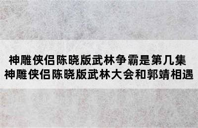 神雕侠侣陈晓版武林争霸是第几集 神雕侠侣陈晓版武林大会和郭靖相遇